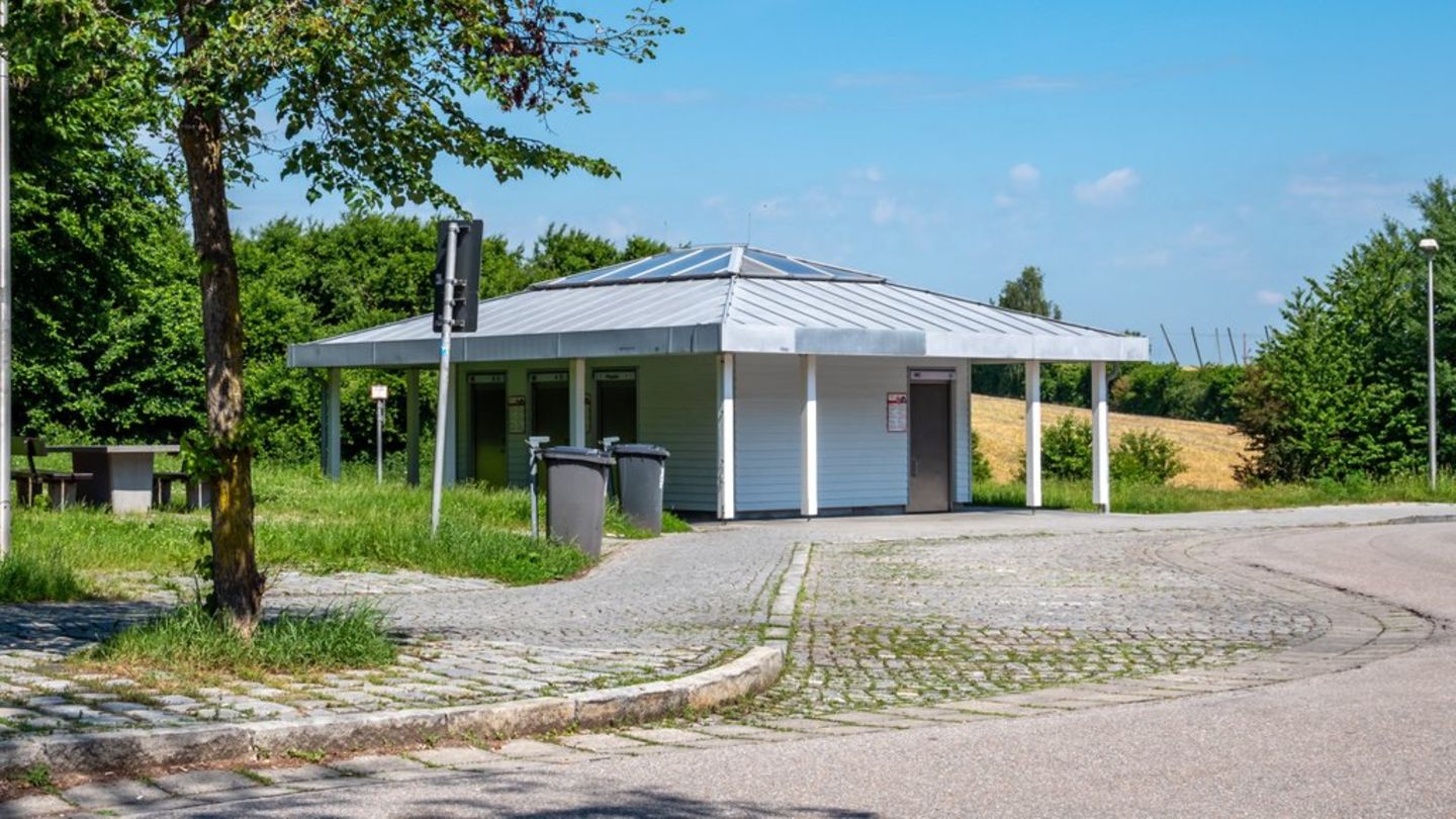 Kurioses Patent: Keine Klopausen dank Toilette im Auto?