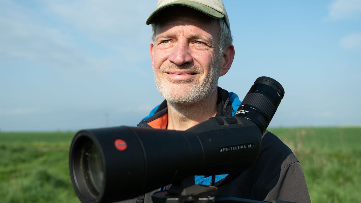 Wissenschaft: Hessens Vögel werden gezählt und jeder kann mitmachen