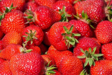 In Mecklenburg-Vorpommern soll die Erdbeerernte im geschützten Freilandanbau Ende der Woche beginnen. (Symbolbild) Foto: Soeren