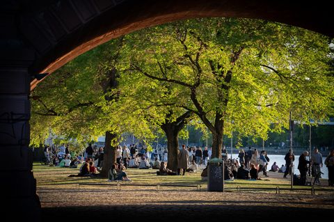 Die kommenden Tage werden sehr mild, nachts ist es kühler. (Archivbild) Foto: Andreas Arnold/dpa