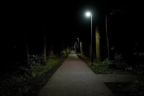 Ein dunkler Park mit einem schlecht beleuchteten Weg entlang der Bäume