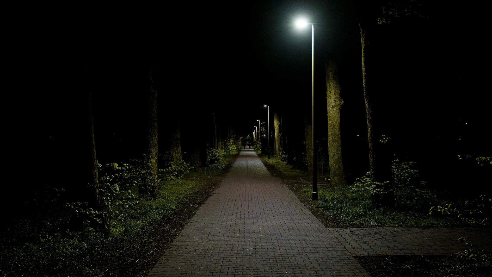 Ein dunkler Park mit einem schlecht beleuchteten Weg entlang der Bäume