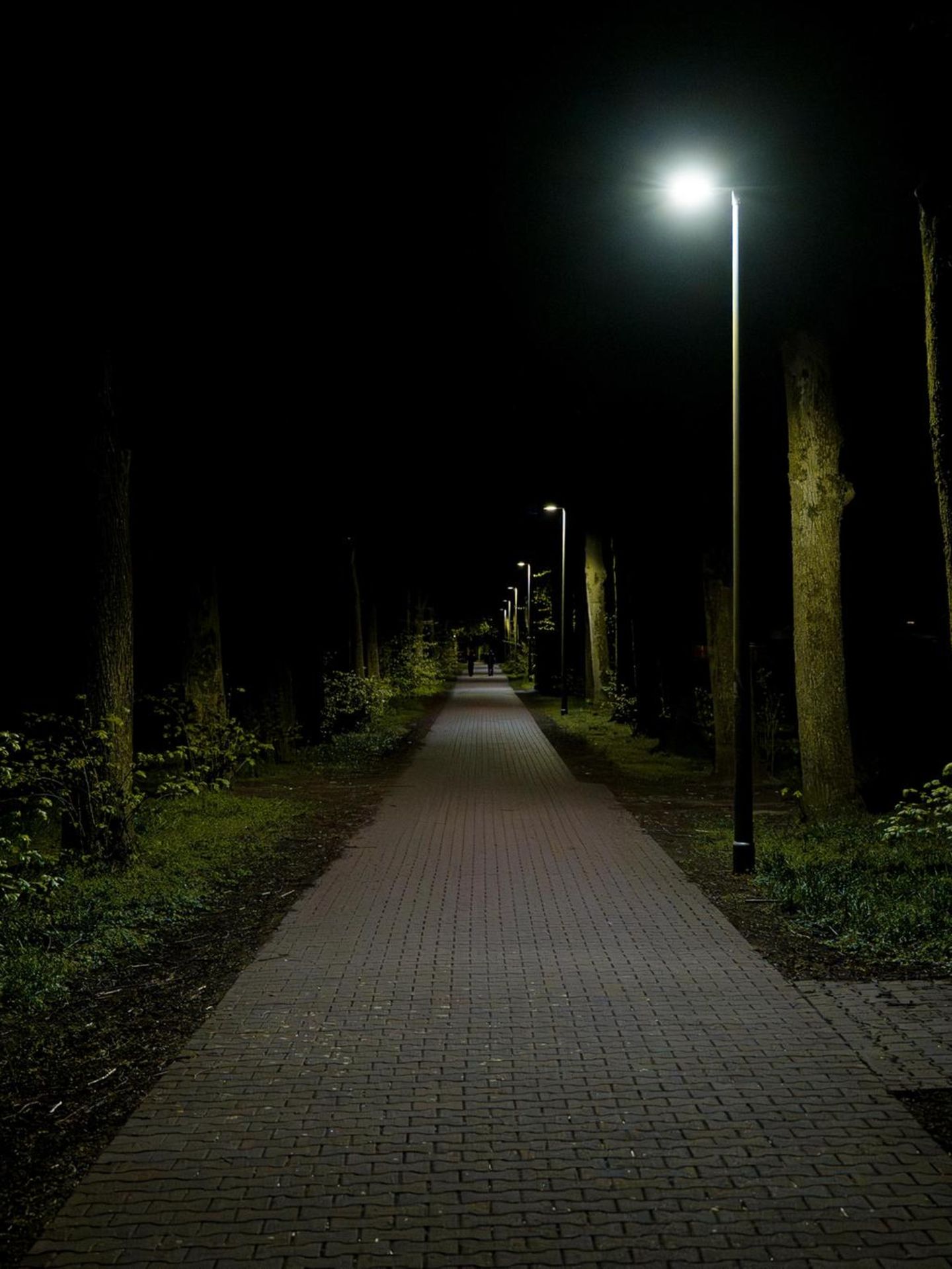 Ein dunkler Park mit einem schlecht beleuchteten Weg entlang der Bäume