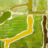 Schutzgebiet Waalenburg