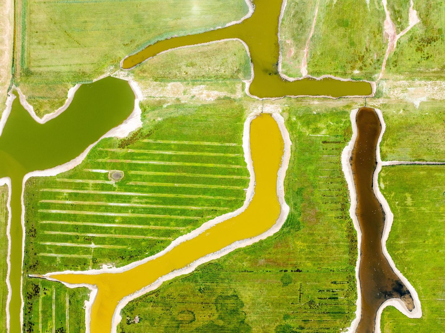 Schutzgebiet Waalenburg