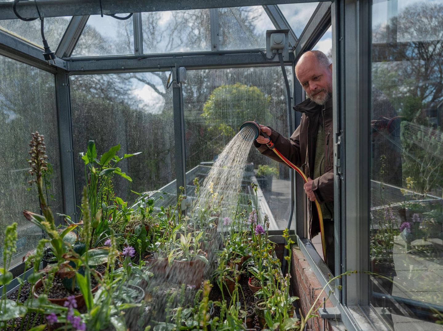 Das schlaucht: Jaco Kruisenga hilft dabei, gefährdete Orchideenspezies neu anzusetzen. 