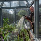 Das schlaucht: Jaco Kruisenga hilft dabei, gefährdete Orchideenspezies neu anzusetzen. 