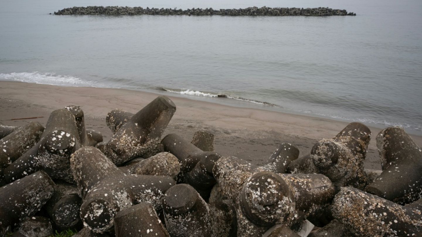 Tsunami-Barriere in Japan