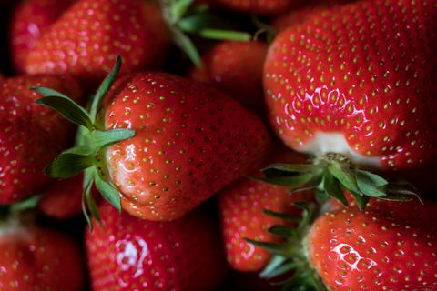 Offizieller Start für die Erdbeer-Saison ist im Mai, aber schon jetzt gibt es die Chance auf erste heimische Früchtchen. (Symbol