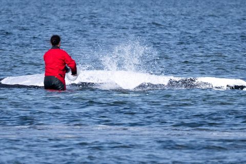 Eine Helferin befeuchtet den Rücken des Wals am Montag mit nassen Tüchern