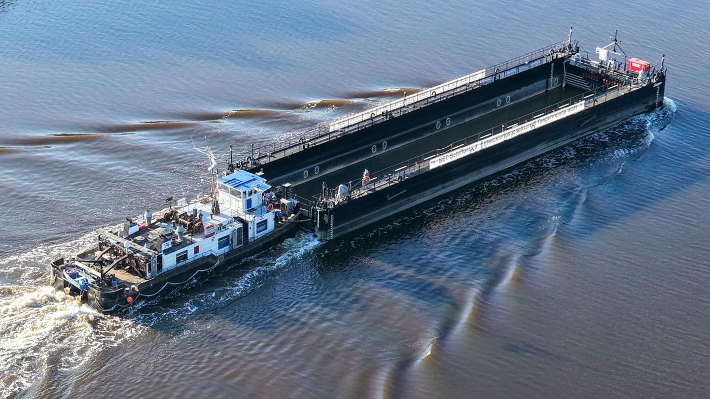 Gestrandeter Buckelwal: Neue Animation zeigt, wie die Rettungsmission für den Wal aussehen könnte