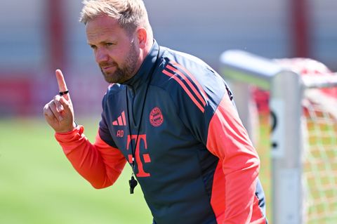 Alles hört auf sein Kommando: Aaron Danks beim Abschlusstraining in Aktion. Foto: Sven Hoppe/dpa