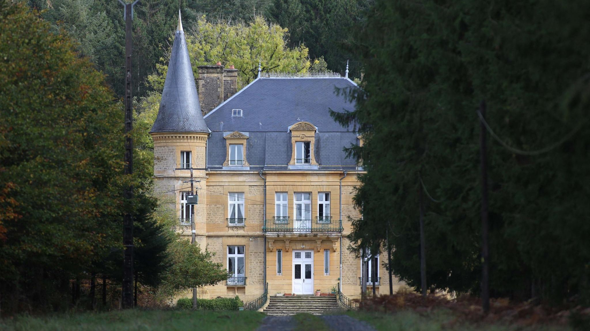 Eine Straße führt zwischen Bäumen zum Schloss