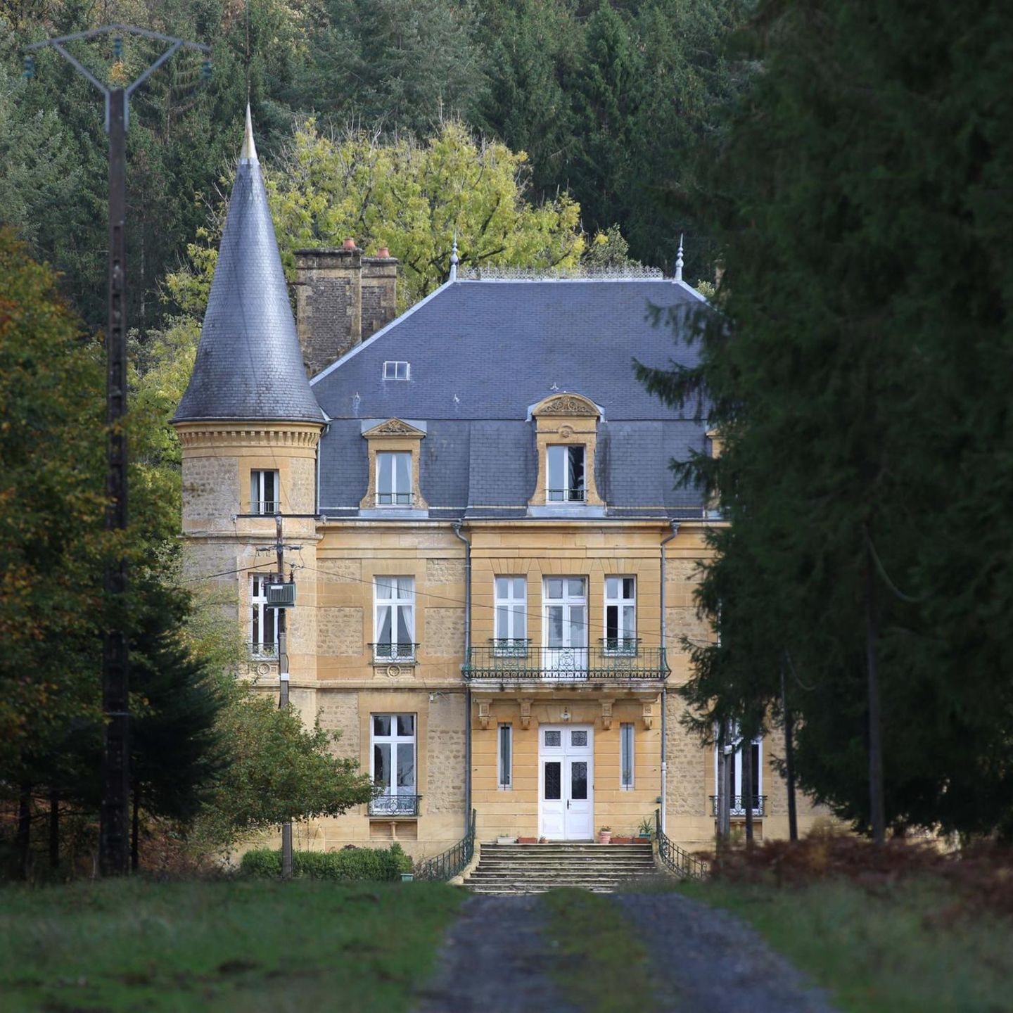 Eine Straße führt zwischen Bäumen zum Schloss