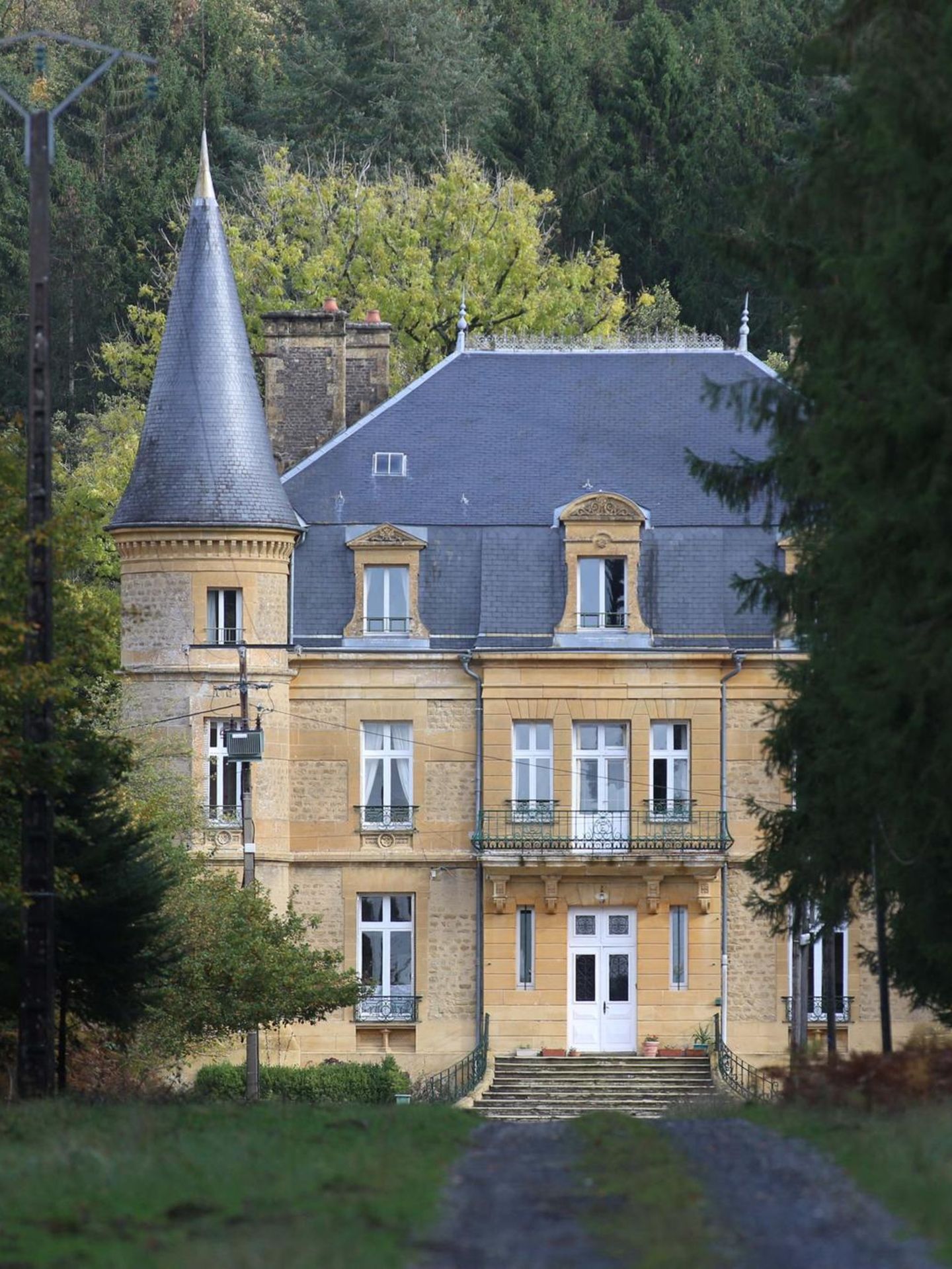 Eine Straße führt zwischen Bäumen zum Schloss
