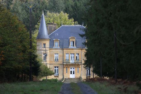 Eine Straße führt zwischen Bäumen zum Schloss