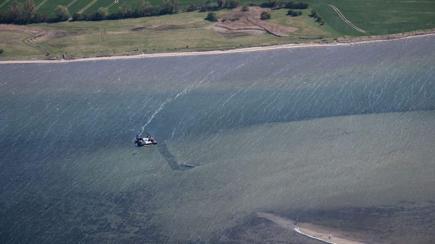Bei dem Rettungsversuch des Wals soll ein Gurt zum Einsatz kommen. (Archivbild) Foto: Philip Dulian/dpa