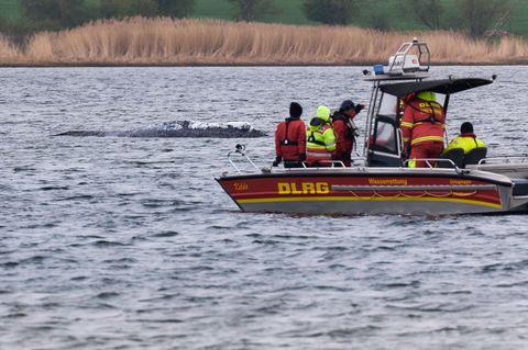 Die DLRG will am Mittwoch aus Kirchdorf auf Poel abziehen. Foto: Marcus Golejewski/dpa