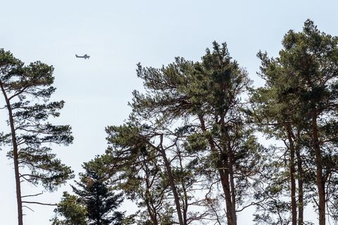 Aufgrund erhöhter Waldbrandgefahr plant die Niederbayerische Regierung in dieser Woche sechs Flüge zur Luftbeobachtung. (Symbolb