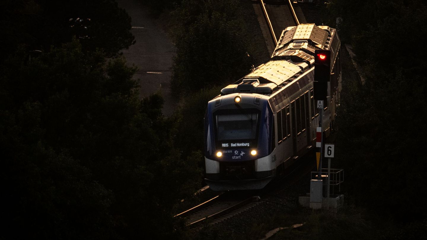 Die Reparatur der Wasserstoffzüge dauert weiter an. (Archivbild) Foto: Boris Roessler/dpa
