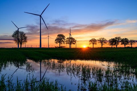 Viel Sonne in Berlin und Brandenburg – nachts sorgt klare Luft aber weiterhin für Frostgefahr. Foto: Patrick Pleul/dpa