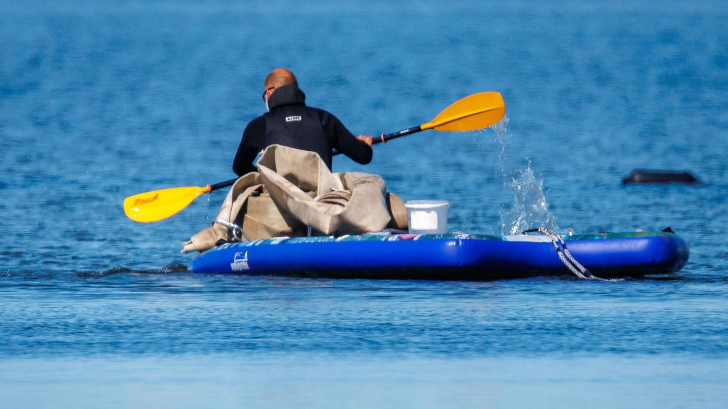 Wal-Newsblog: Rettung in Echtzeit: So können Sie die Route der „Robin Hood“ live mitverfolgen