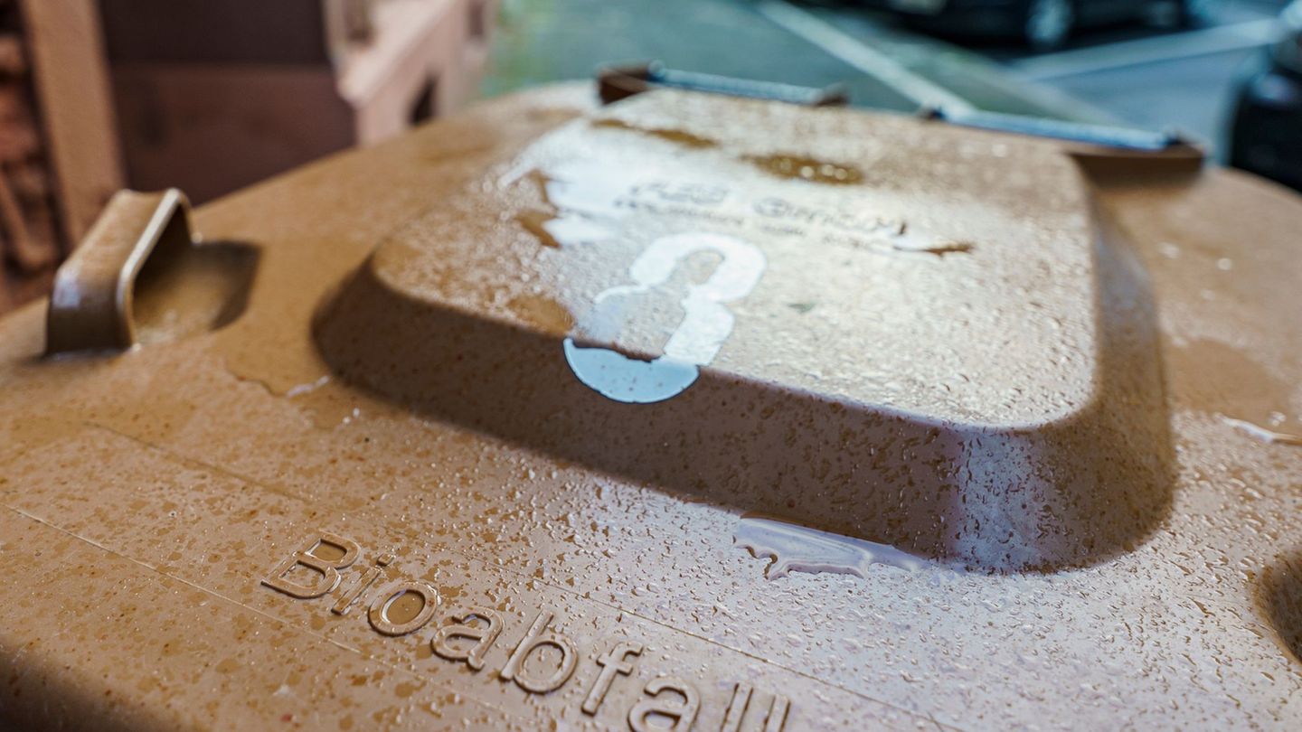 Justiz: Gericht: Eigener Kompost ersetzt Biotonne nicht