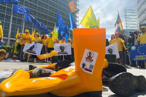 Die EU-Abgeordneten wollen Europas Landwirten mehr Geld fest zusagen. (Archivbild) Foto: Sylvain Plazy/ap/AP/dpa