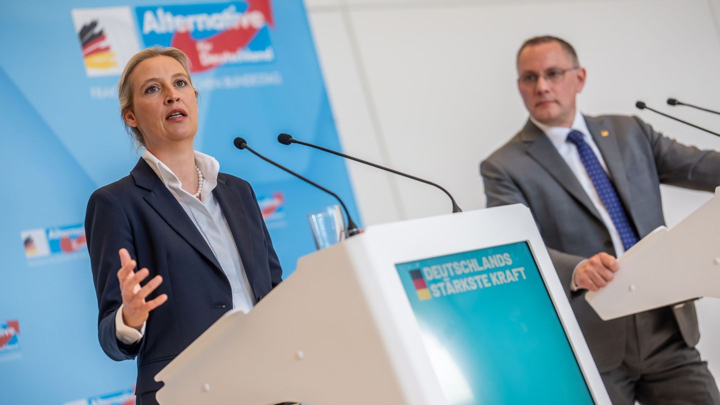 Die AfD von Alice Weidel und Tino Chrupalla hat in jüngsten Umfragen klar die Nase vorn. (Archivbild) Foto: Michael Kappeler/dpa