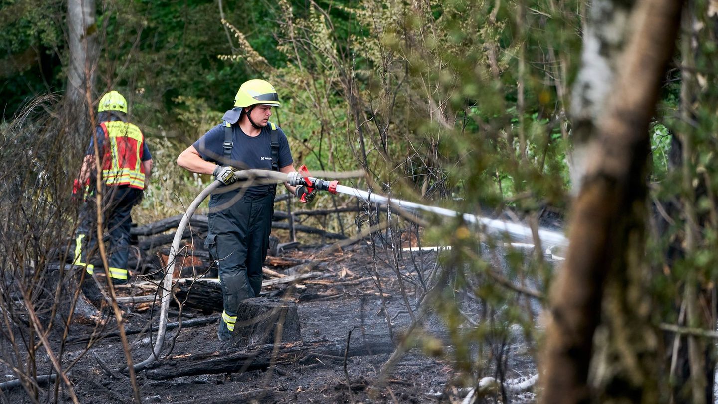 Fast immer verursacht der Mensch einen Waldbrand. (Archivbild) Foto: Sascha Ditscher/dpa