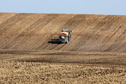 Steigende Düngermittelpreise bedrohen laut Weltbank die sichere Lebensmittelversorgung von Millionen von Menschen. (Archivbild)