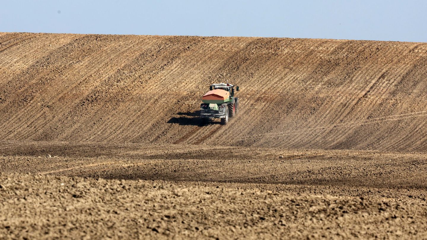 Steigende Düngermittelpreise bedrohen laut Weltbank die sichere Lebensmittelversorgung von Millionen von Menschen. (Archivbild)