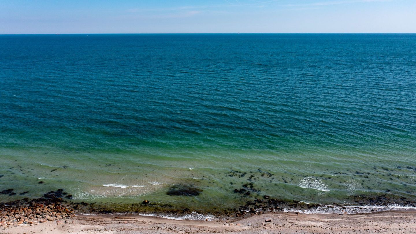 Bis zum Jahr 2030 nach Angaben des Umweltministers Goldschmidt 12,5 Prozent der Ostsee unter strengen Schutz gestellt. (Symbolbi