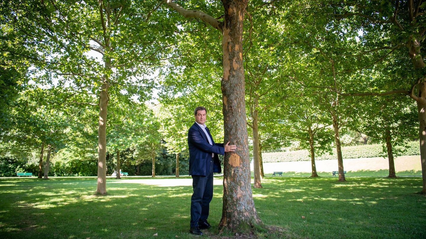 Dieses Foto verfolgt Markus Söder seit seiner Aufnahme 2020: Damals umarmte der bayerische Ministerpräsident einen Baum in Münch