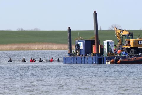 Helfer dirigieren Wal in Barge