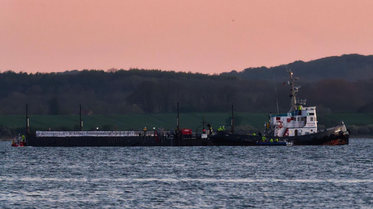 Wal-Newsblog: Schlepper „Robin Hood“ zieht Barge mit dem Wal auf die Ostsee