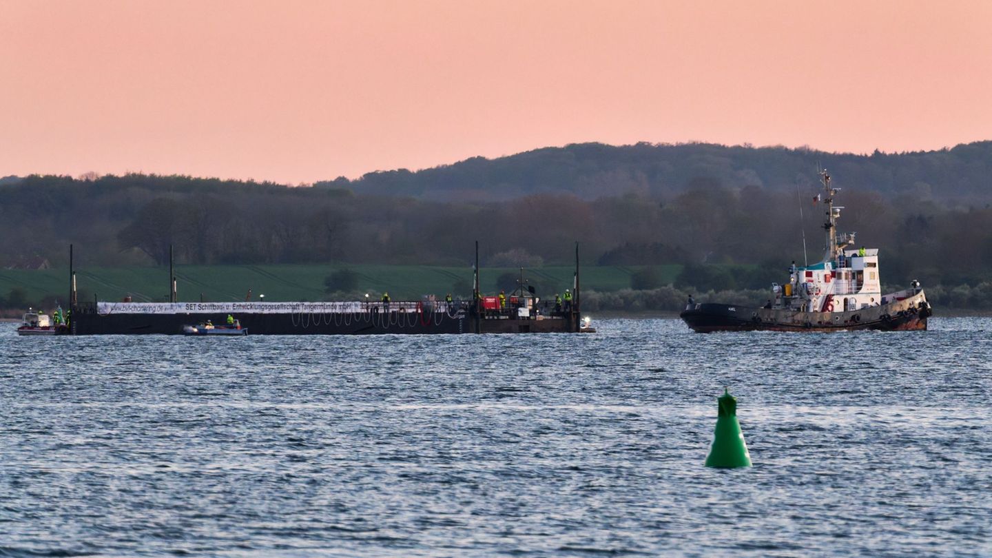 Mit dem Wal in der Barge nahm der Schleppverband Kurs auf die Nordsee Foto: Marcus Golejewski/dpa