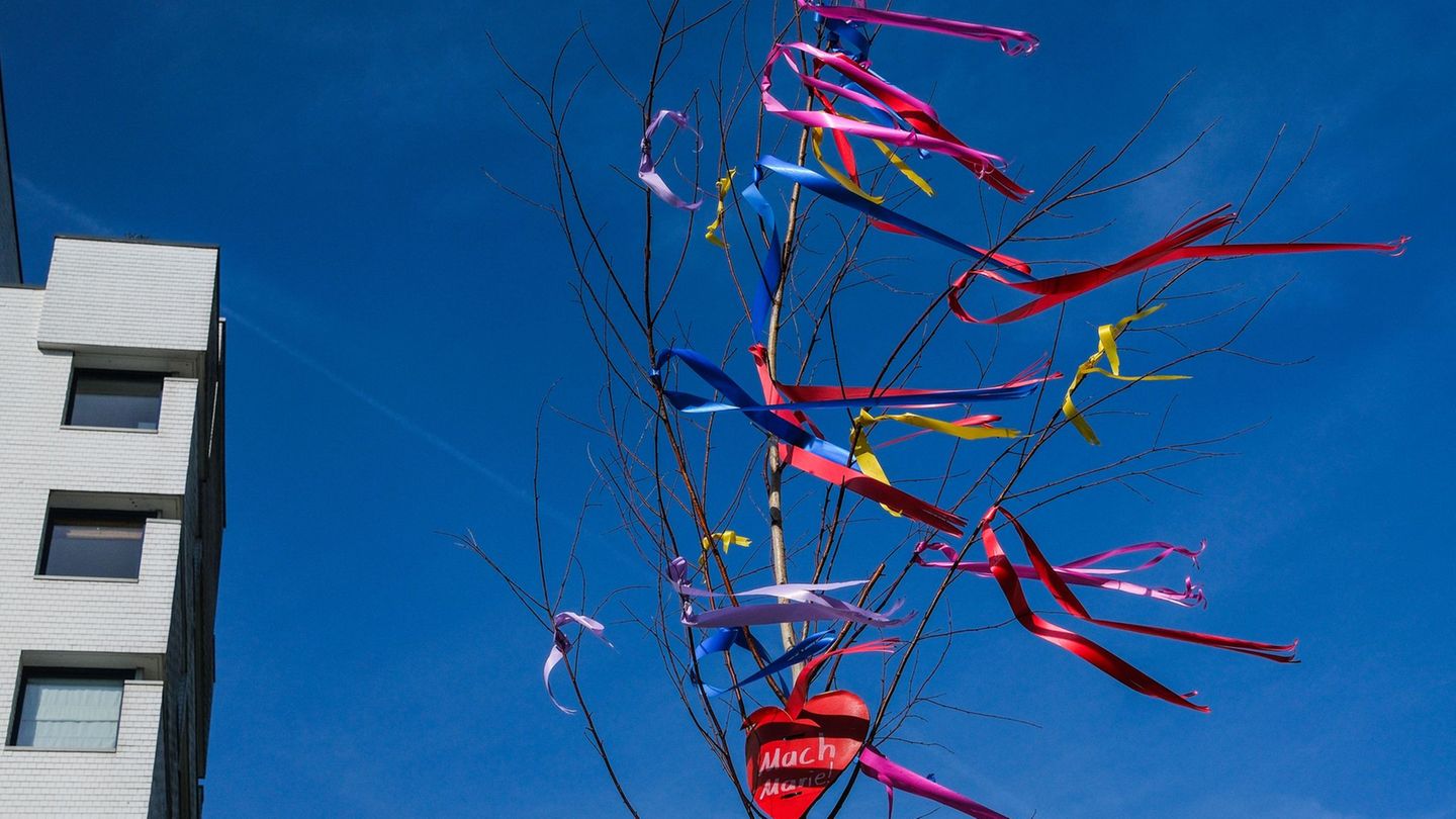 Vielerorts gibt es Verkaufsstellen für Maibäume. Foto: Oliver Berg/dpa