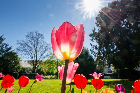 Sonniges Frühlingswetter lockt am verlängerten Wochenende viele Touristen in die Feriengebiete. (Symbolbild) Foto: Thomas Banney