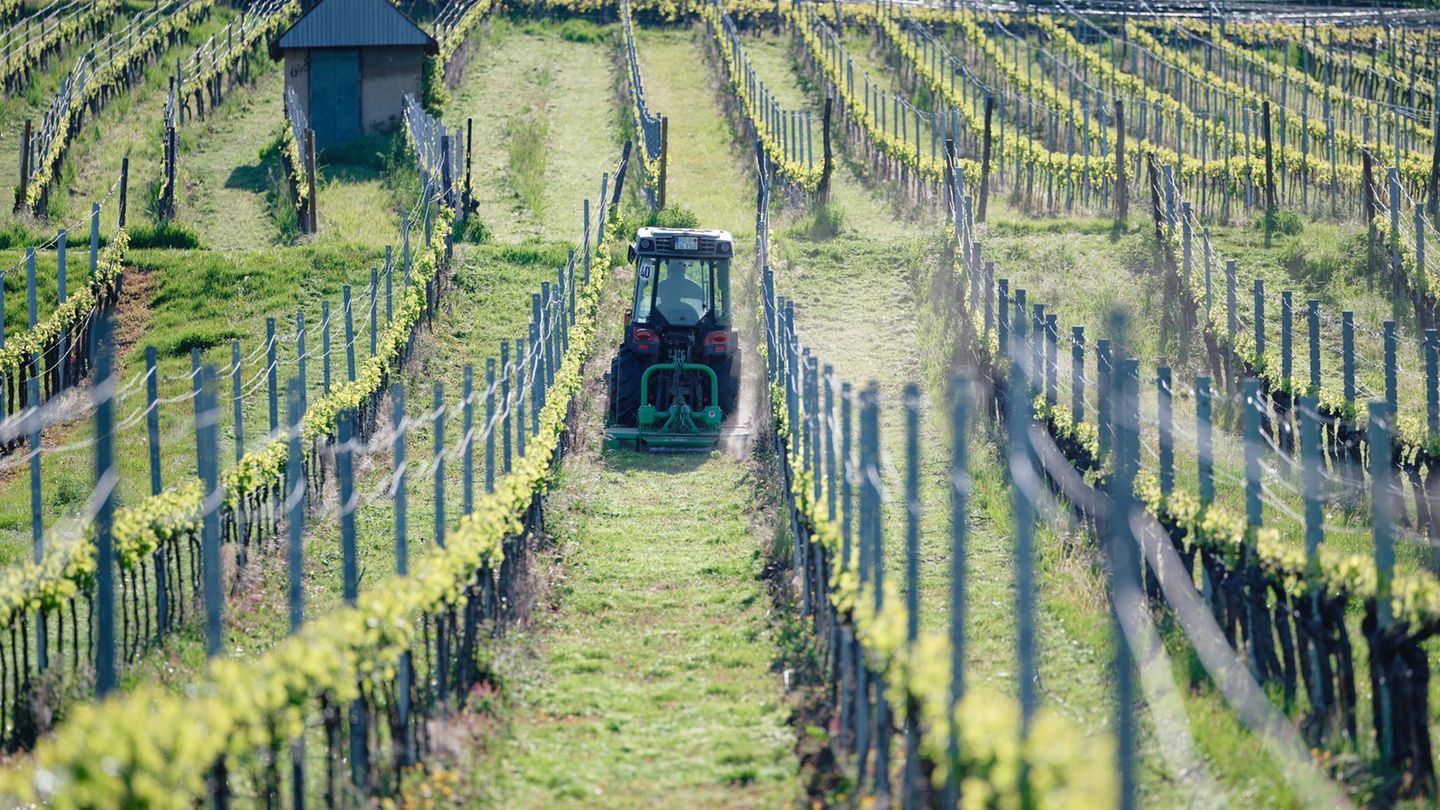 Das Wetter wird sonnig im Südwesten. (Archivbild) Foto: Uwe Anspach/dpa
