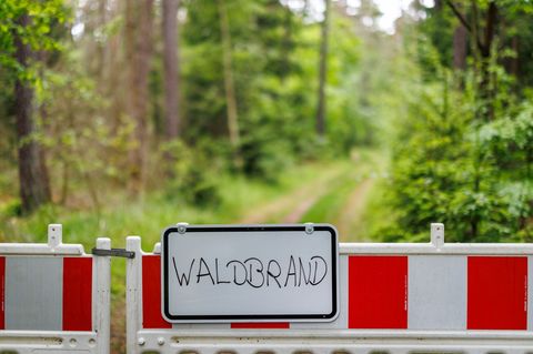 Die Waldbrand-Gefahr in Bayern ist schon jetzt hoch (Illustration). Foto: Daniel Karmann/dpa