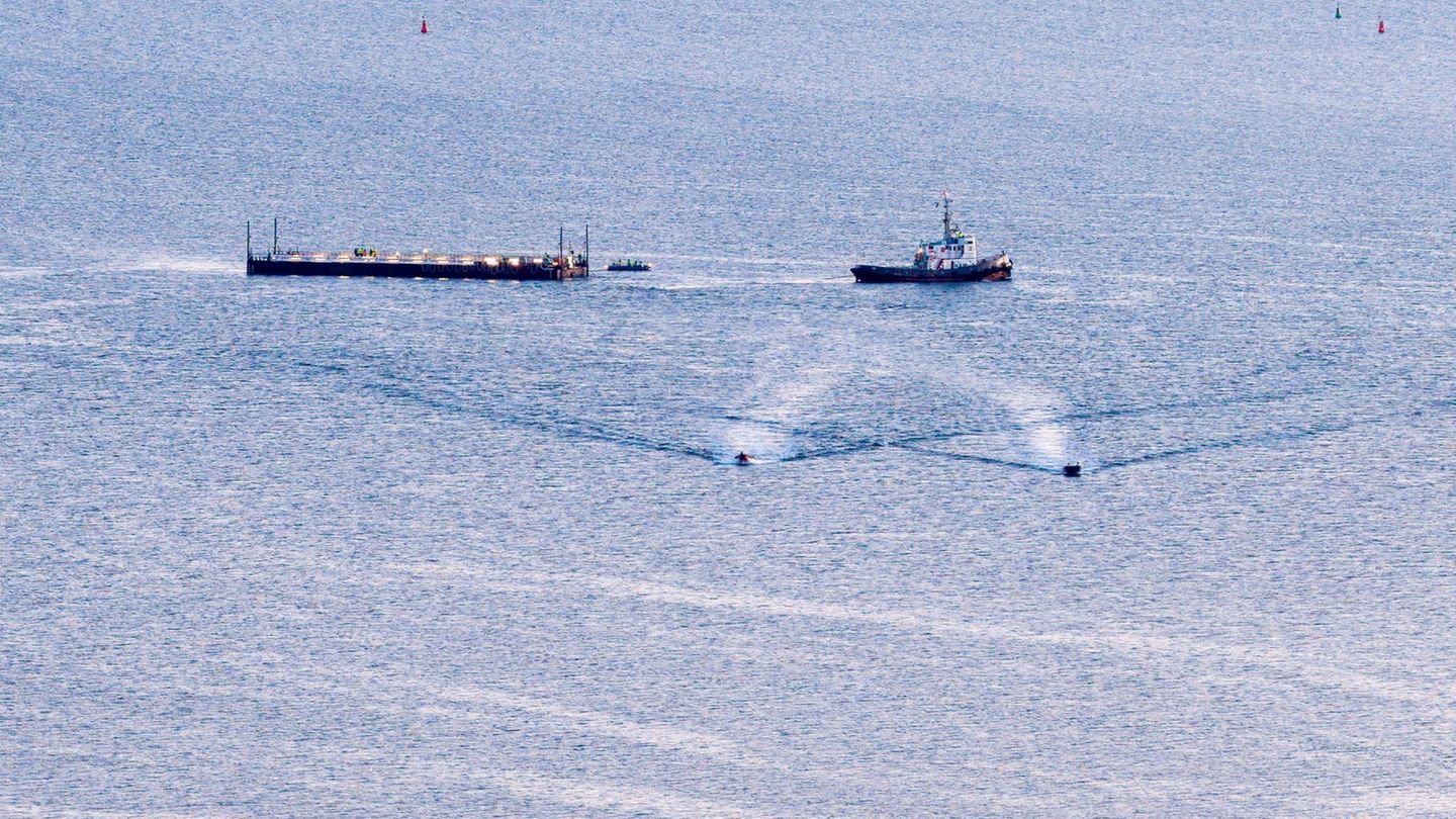 Wal-Transport im Stahlbecken: Sachverständige: Wal dürfte im tiefen Wasser kaum überleben