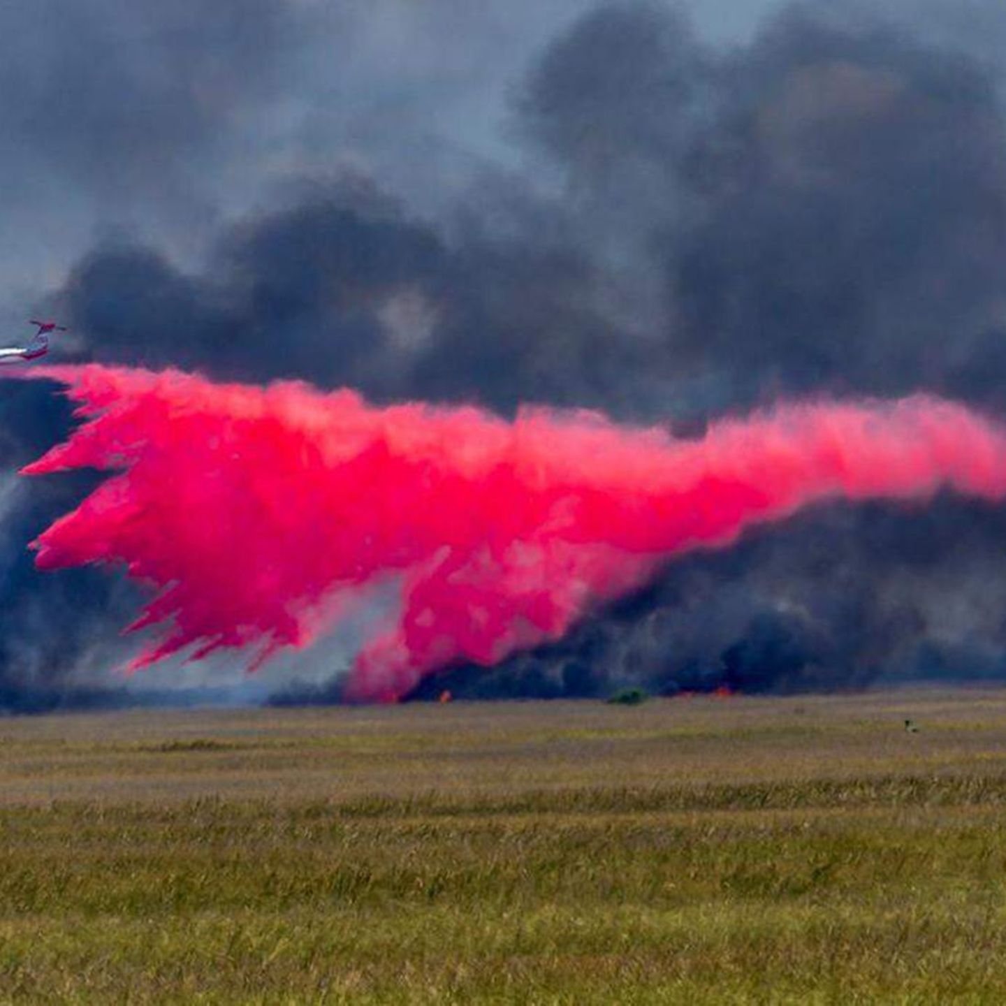 Sarasota, USA. Ein Flugzeug wirft Feuerschutzmittel auf ein großes Waldfeuer auf der Südseite des Tamiami Trail ab. Derzeit toben im Everglades Nationalpark heftige Waldbrände. 