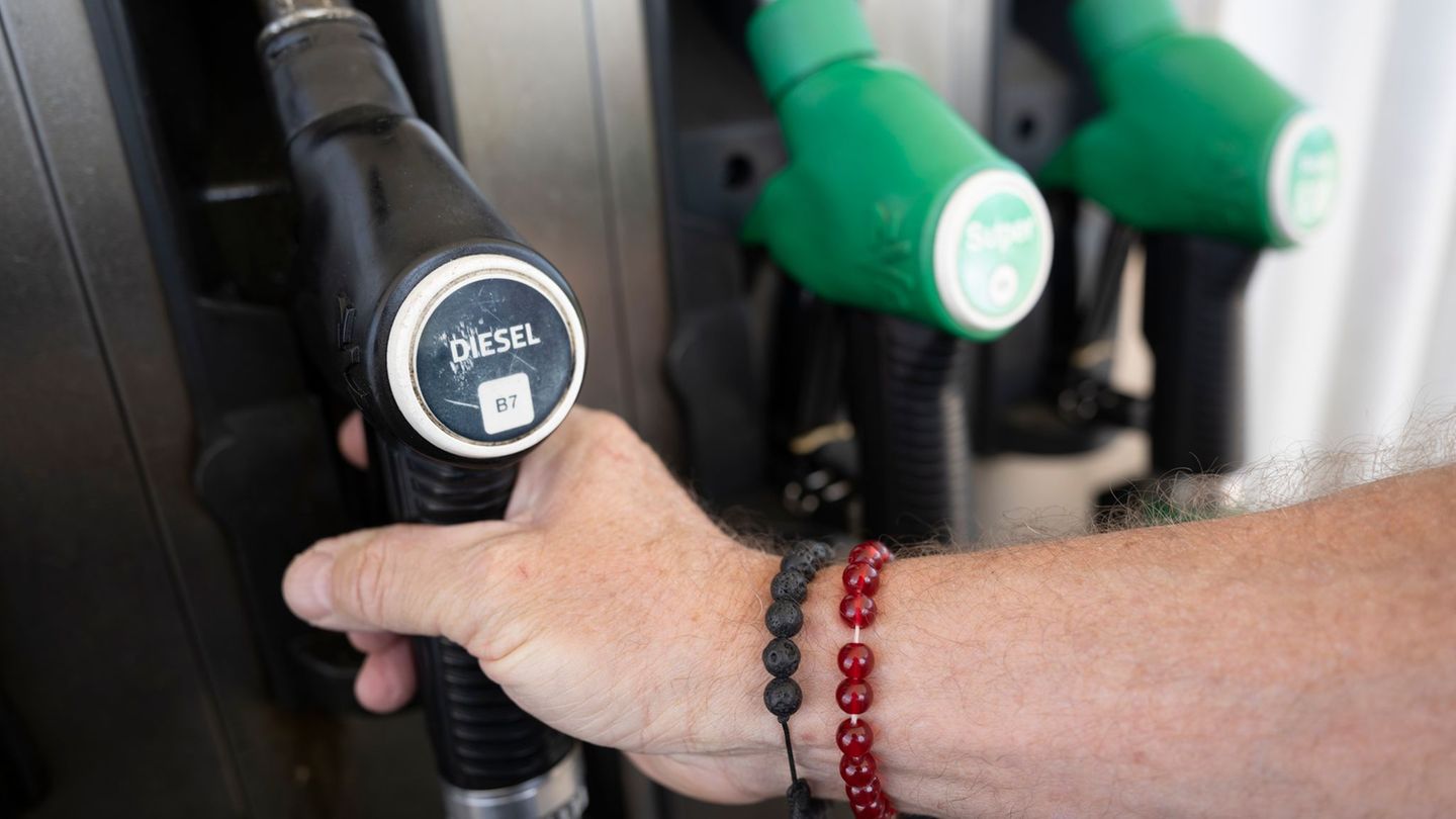 Statistik: Verbraucherpreise in Sachsen-Anhalt steigen um 3,1 Prozent