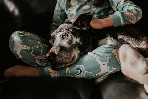 Tod des Haustiers: Kind mit Hund auf Schoß