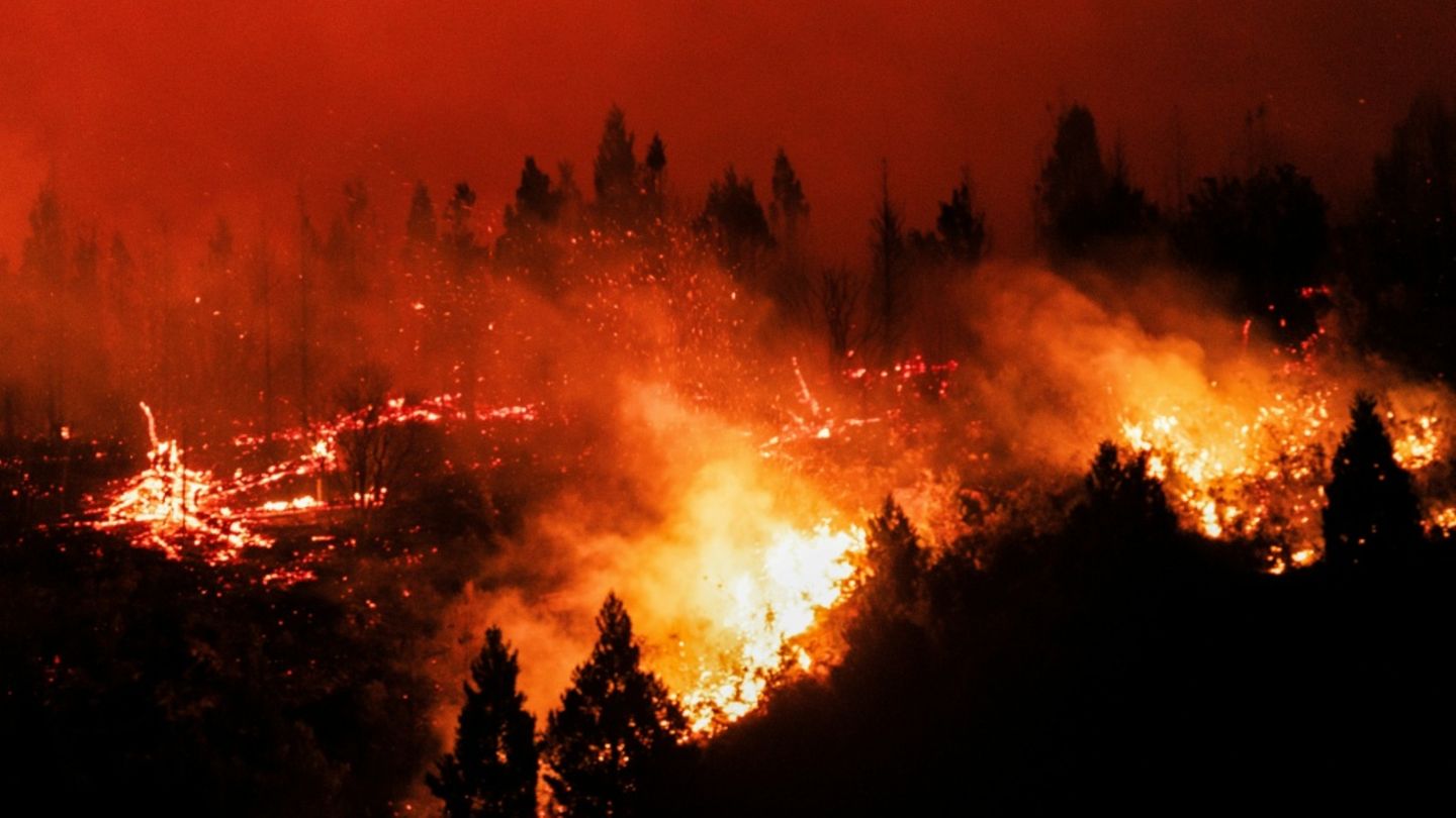 Brände sind ein wichtiger Faktor bei der Waldzerstörung