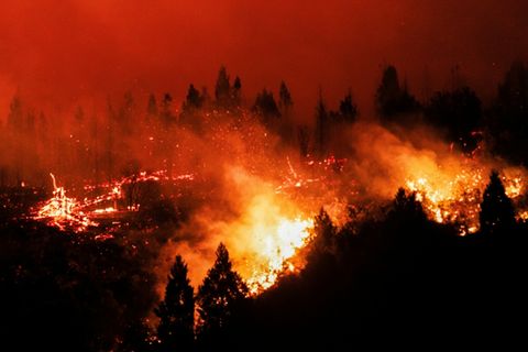 Brände sind ein wichtiger Faktor bei der Waldzerstörung
