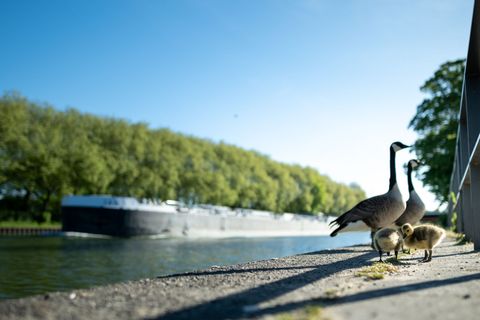 Viel Sonne und Temperaturen über 20 Grad sind in den nächsten Tagen zu erwarten. Foto: Fabian Strauch/dpa
