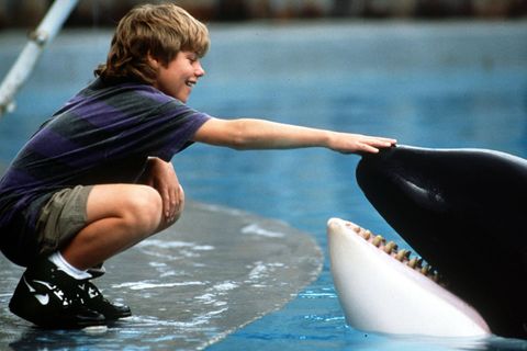 Szene aus „Free Willy“