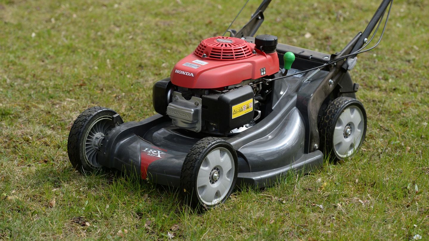 Insekten- und Naturschutz: Mähfreier Mai gegen die "grüne Wüste"